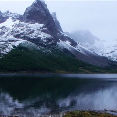 电玩城金鲨银鲨下载手机版
